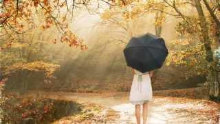 Woman white dress umbrella forest - the ground and a path free wallpaper