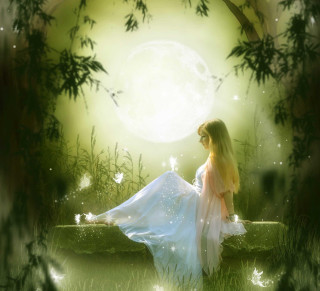 Woman dress forest moon butterfly - free fantasy wallpaper for tablet