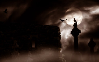 Bird flying cemetery full moon - dirk crabeth free wallpaper for desktop