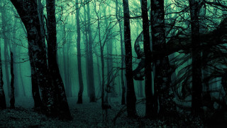 Dark forest trees leaves snake - eldritch free wallpaper