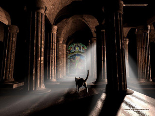 Cat walking dark tunnel columns - a dark tunnel free wallpaper