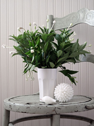 White vase flowers table chair - a still life free wallpaper for mobile