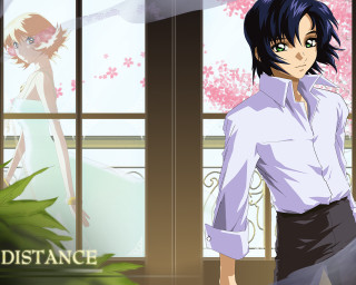 Man dress shirt skirt window - a window free wallpaper for desktop