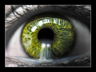 Green eye water iris black - iris free wallpaper