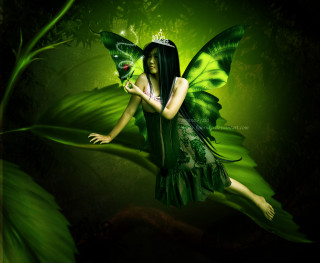 Green fairy butterfly leaf forest - a green flower free wallpaper