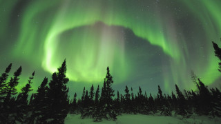 Green purple aurora borealis forest 3 - aurora free wallpaper