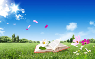 Open book grassy field daisies - summer free wallpaper for desktop