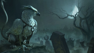 Bird beak tail cemetery night - a long tail free wallpaper for desktop