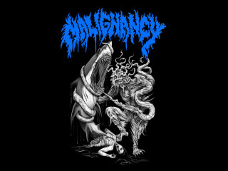 Black blue shirt shark attacking - a shark free wallpaper