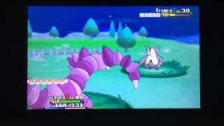 Cartoon gaming cat purple flower - a purple flower free wallpaper