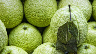 Green fruit pile leaf top - photorealistic imagery free wallpaper