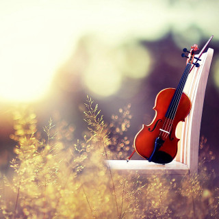 Violin window sill grass weeds - beautiful free wallpaper for tablet