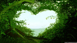 Heart tree ocean branches ecological - a view of the ocean in the background free wallpaper
