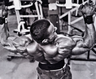 Man large back big chest - epic proportion free wallpaper