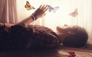 Man bed butterfly flying around - the bed free wallpaper