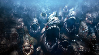 Sharks open mouths water light - alexander johnston free wallpaper for desktop
