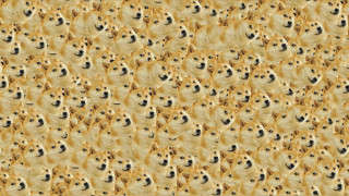 Dogs group wallpaper pattern row - a group of dogs free wallpaper