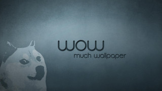 Dog standing wall wow looking - dom qwek free wallpaper for desktop