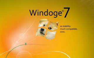 Dog yellow background Windows7 logo - a green stem free wallpaper for desktop