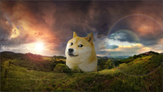 Dog field rainbow cloudy sky - a dog free wallpaper