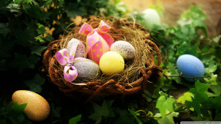 Basket filled eggs green field 3 - egg free wallpaper