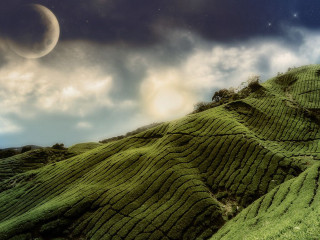 Full moon grassy hill crescent - a full moon free wallpaper