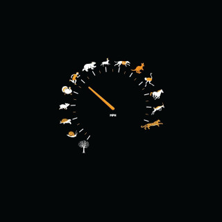 Clock animals night time lapse - precisionism free wallpaper for tablet