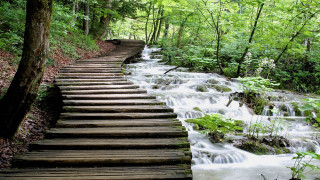 Wooden path waterfall trees nature - a waterfall in the background and trees free wallpaper