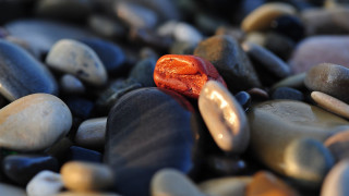Red object pile rocks pebbles - a red object free wallpaper