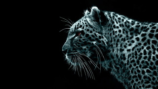 Leopard face black white photo - digital painting free wallpaper