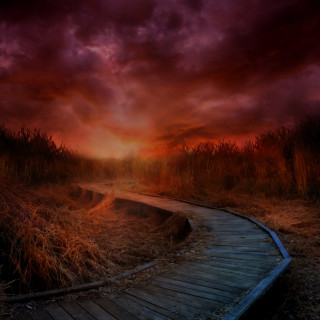 Wooden path field cloudy sunset - under free wallpaper for tablet