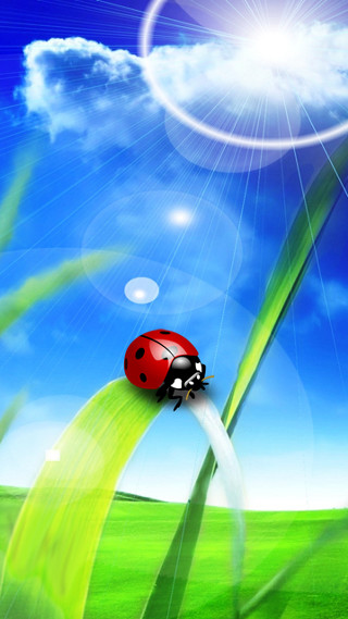 Ladybug green grass blue sky - a green grass free wallpaper
