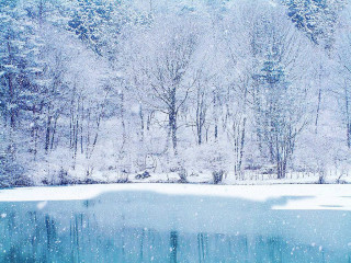 Snowy lake trees forest bench - impressionism free wallpaper for desktop