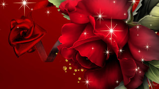 Red rose ribbon bow stars - a red rose free wallpaper