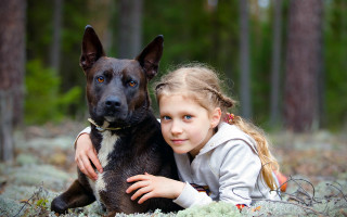 Girl dog lying grass woods - the wood together free wallpaper