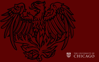 Black red eagle chicago wings - academic free wallpaper