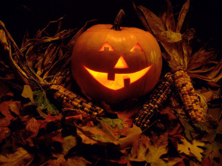 Pumpkin carved face leaves corn - face free wallpaper