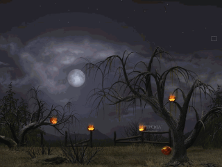 Night scene full moon pumpkins - atmosphere free wallpaper