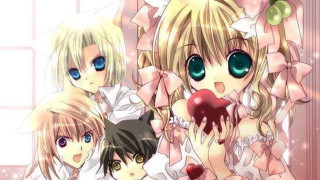 Anime girls big eyes cat - their lap free wallpaper