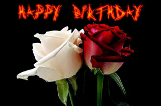 Roses happy birthday gothic fire - the word happy birthday free wallpaper