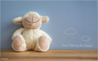 Stuffed animal wooden table blue - a cloud free wallpaper