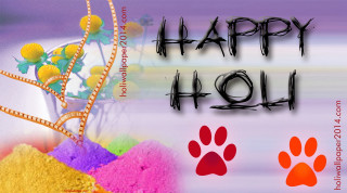 Colorful background dog paw happy - colour free wallpaper
