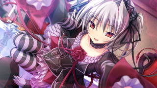 Anime character white hair black 4 - a rose free wallpaper