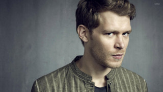 Man beard jacket posing picture 2 - gray free wallpaper for desktop