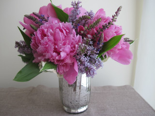 Vase pink flowers tablecloth white - free flowers wallpaper