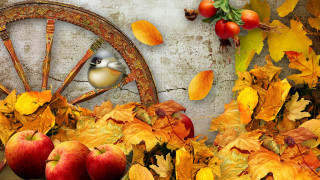 Bird wheel autumn leaves apples - assemblage free wallpaper