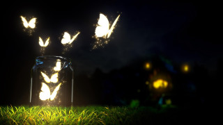 Jar butterflies flying nighttime grass - a jar free wallpaper