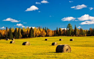 Hay bales autumn foliage trees - fall vibrancy free wallpaper