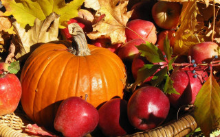 Basket filled apples pumpkin leaves - fall vibrancy free wallpaper