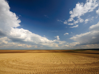 Large field cloudy sky dirt - a large field free wallpaper for desktop
